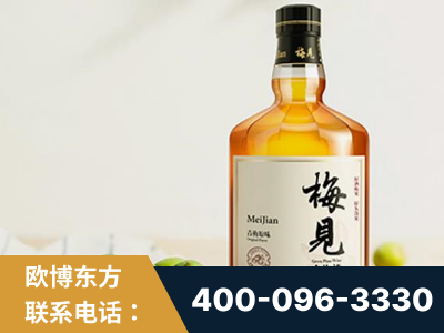 鹰潭-梅见青梅酒